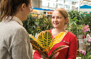 Kassenkraft (m/w/d) im Baumarkt Tuntenhausen in Teilzeit